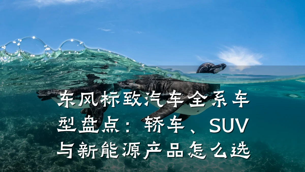 东风标致汽车全系车型盘点:轿车、SUV与新能源产品怎么选
