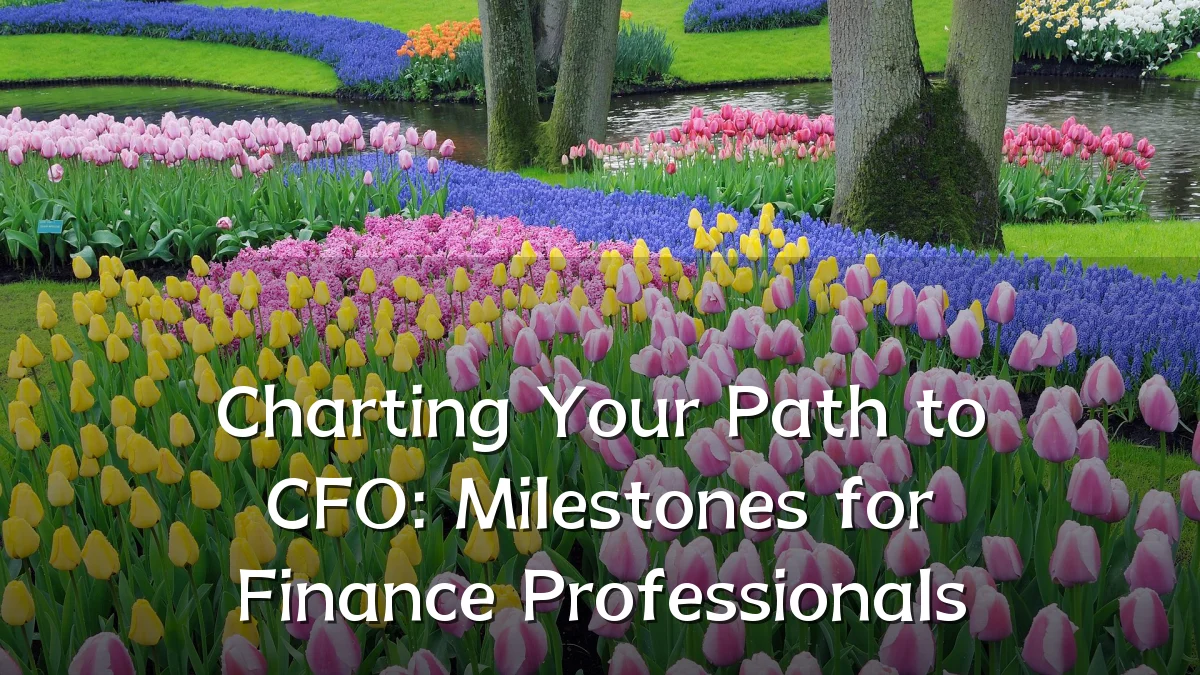 Charting Your Path to CFO: Milestones for Finance Professionals