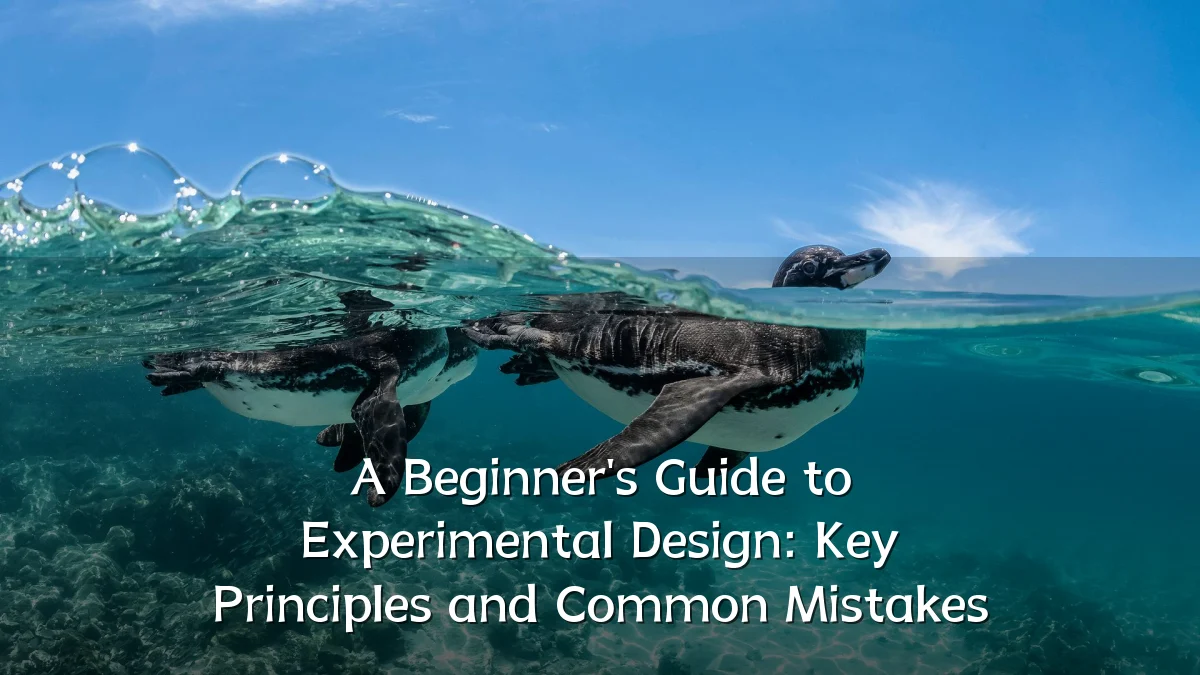 A Beginner's Guide to Experimental Design: Key Principles and Common Mistakes