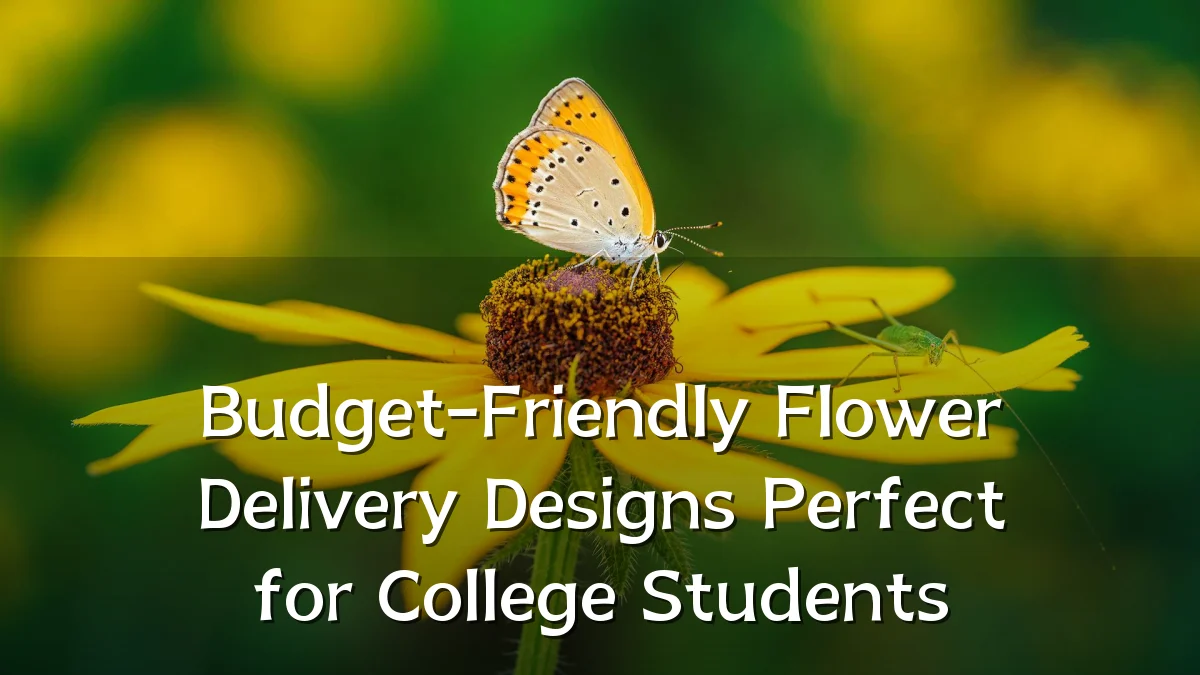 Budget-Friendly Flower Delivery Designs Perfect for College Students