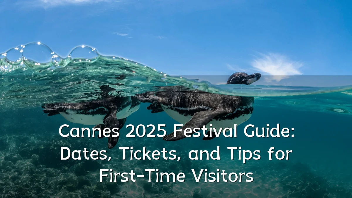 Cannes 2025 Festival Guide: Dates, Tickets, and Tips for First-Time Visitors