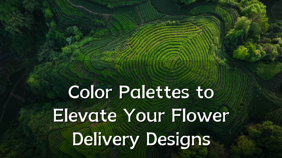 Color Palettes to Elevate Your Flower Delivery Designs