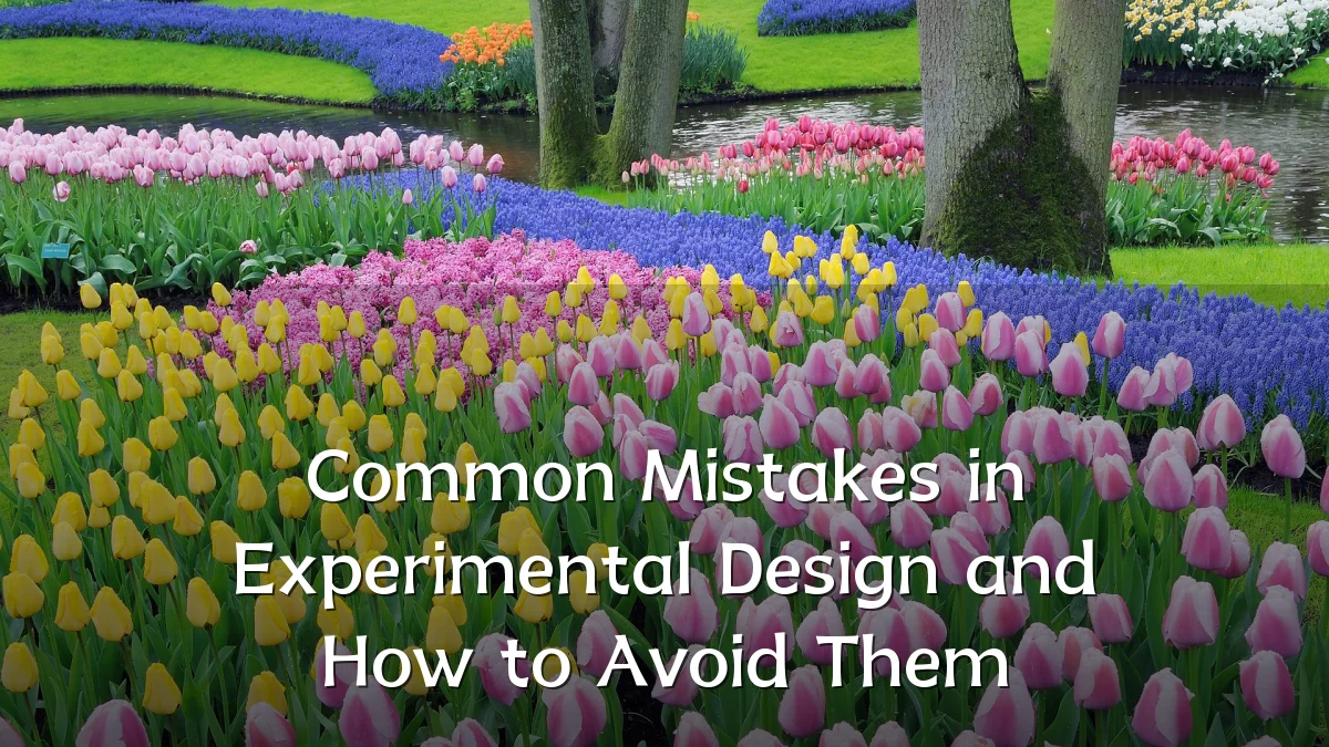 Common Mistakes in Experimental Design and How to Avoid Them