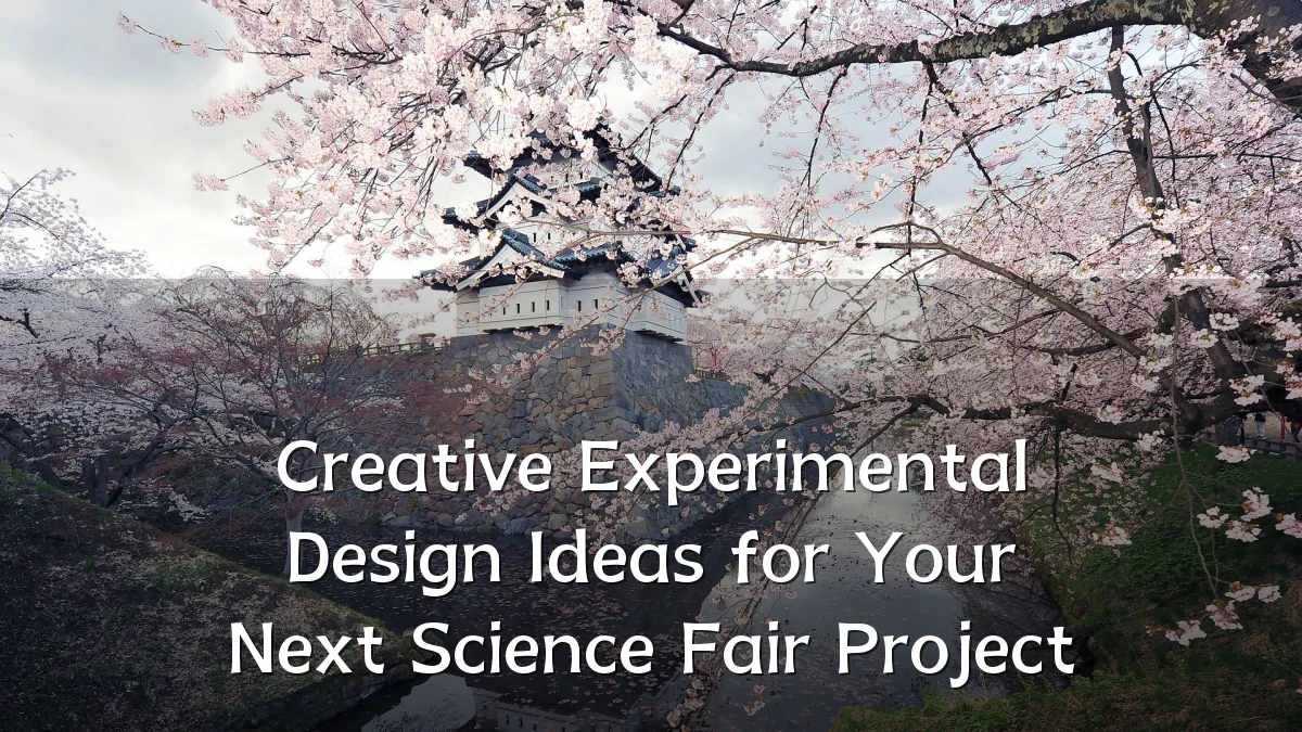Creative Experimental Design Ideas for Your Next Science Fair Project