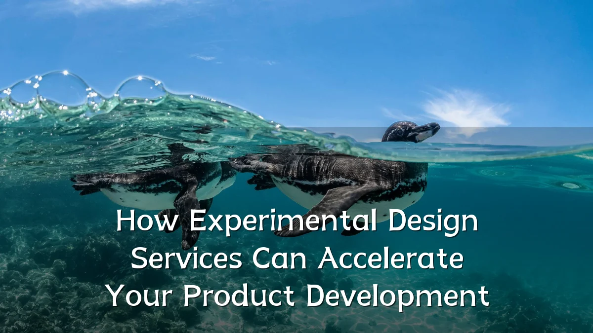 How Experimental Design Services Can Accelerate Your Product Development