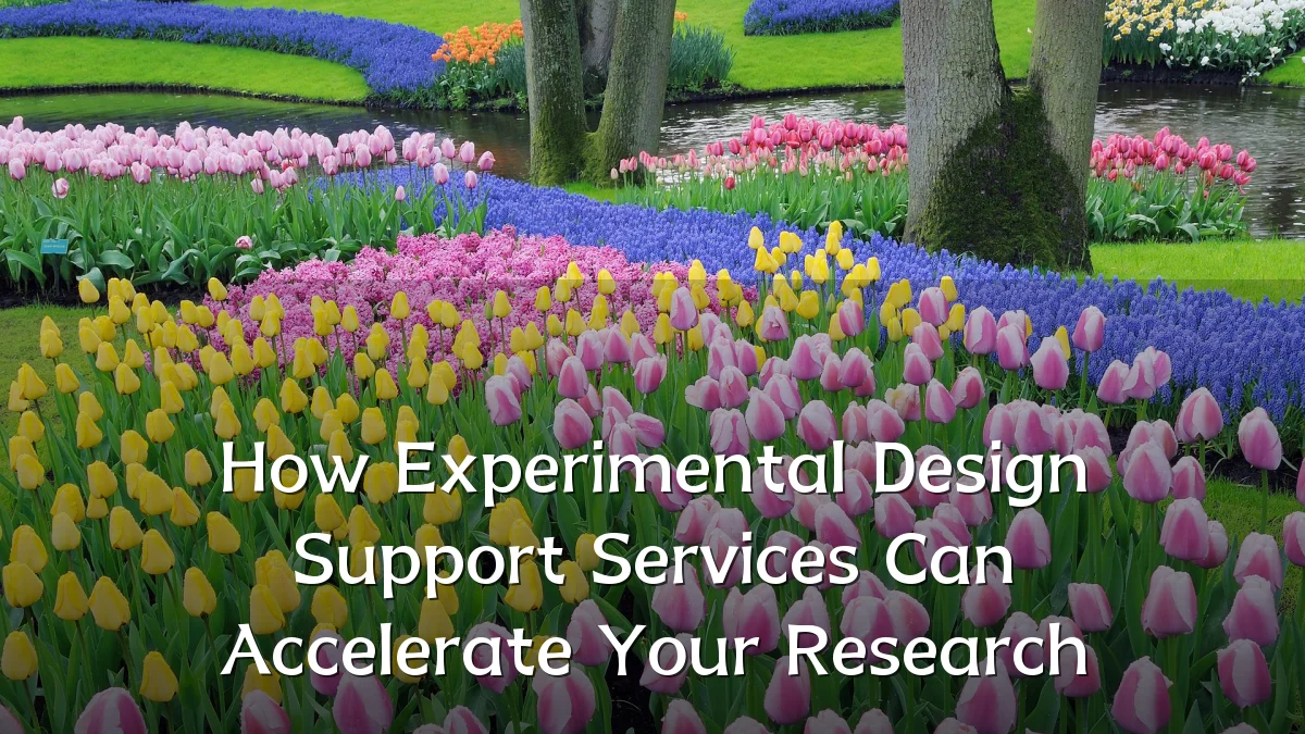 How Experimental Design Support Services Can Accelerate Your Research