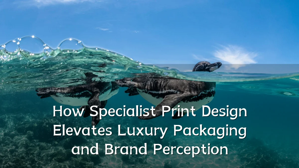 How Specialist Print Design Elevates Luxury Packaging and Brand Perception