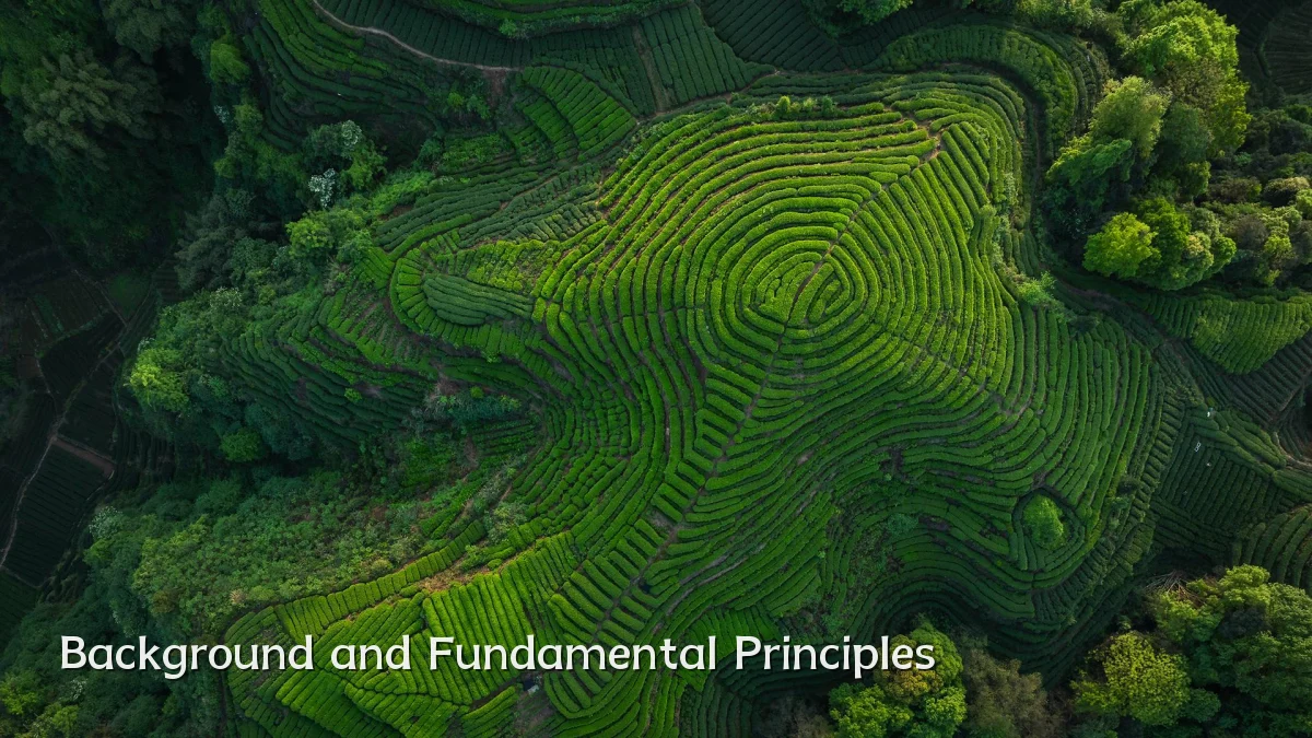 Background and Fundamental Principles