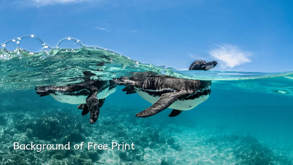 Background of Free Print