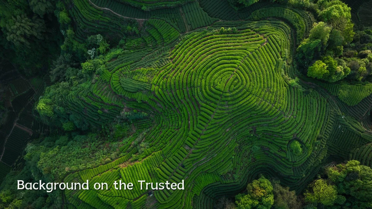 Background on the Trusted