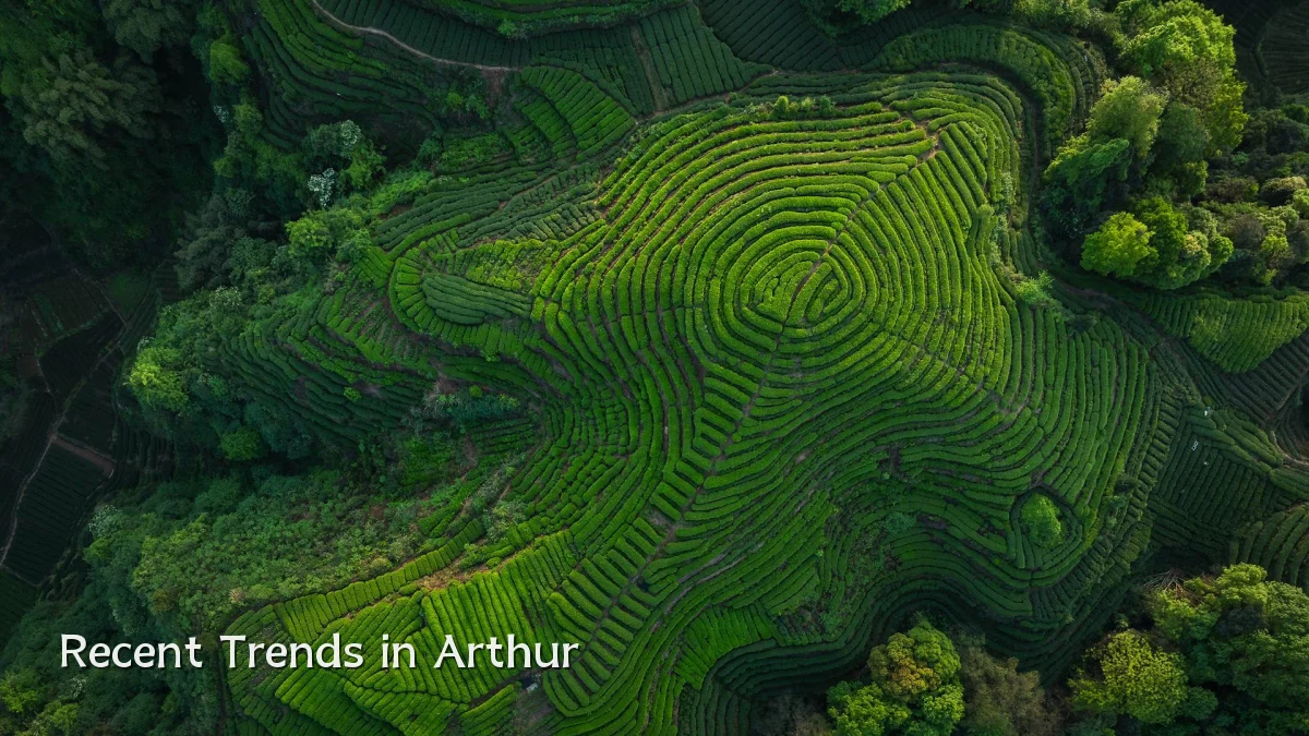 Recent Trends in Arthur