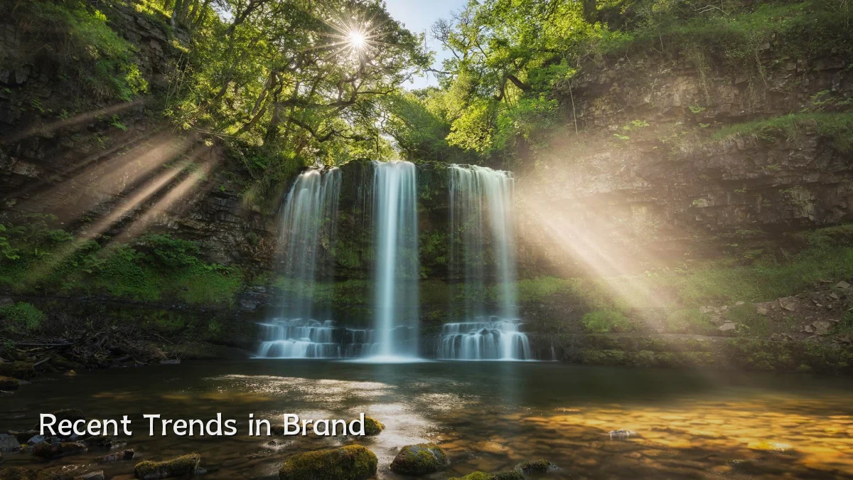 Recent Trends in Brand