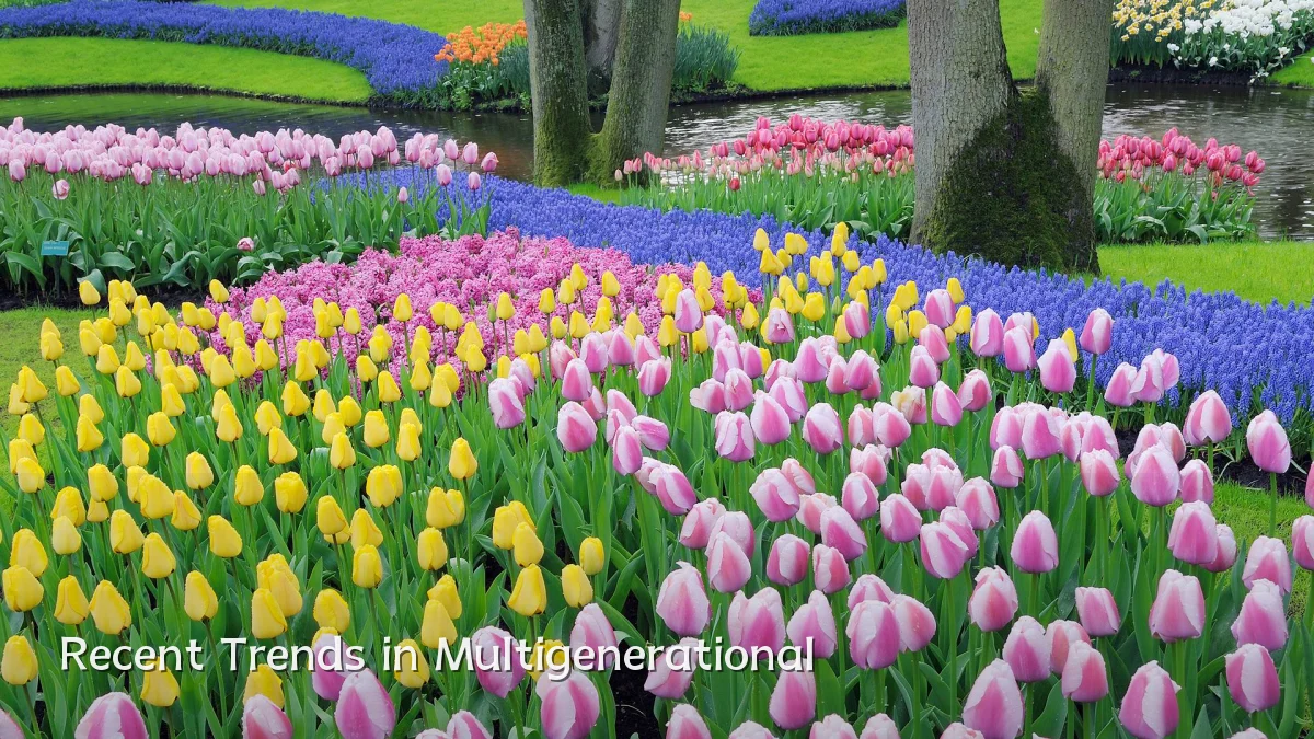 Recent Trends in Multigenerational