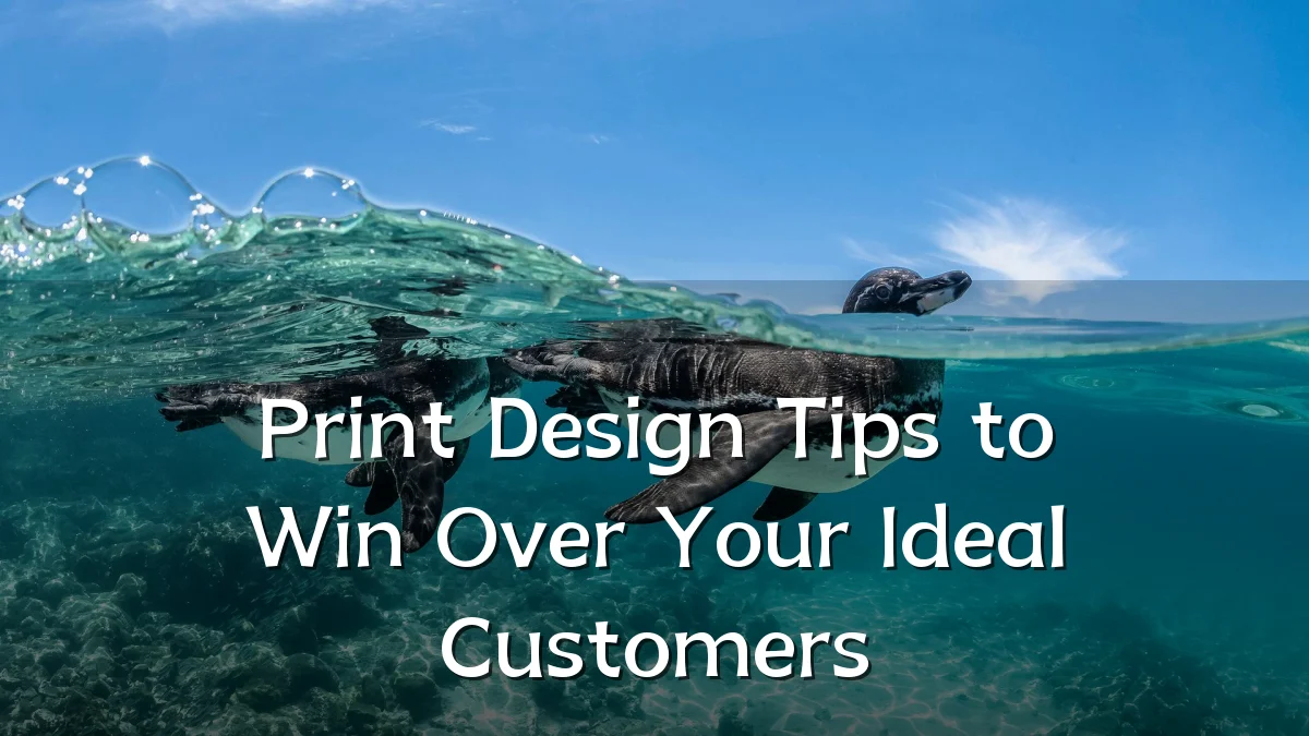 Print Design Tips to Win Over Your Ideal Customers
