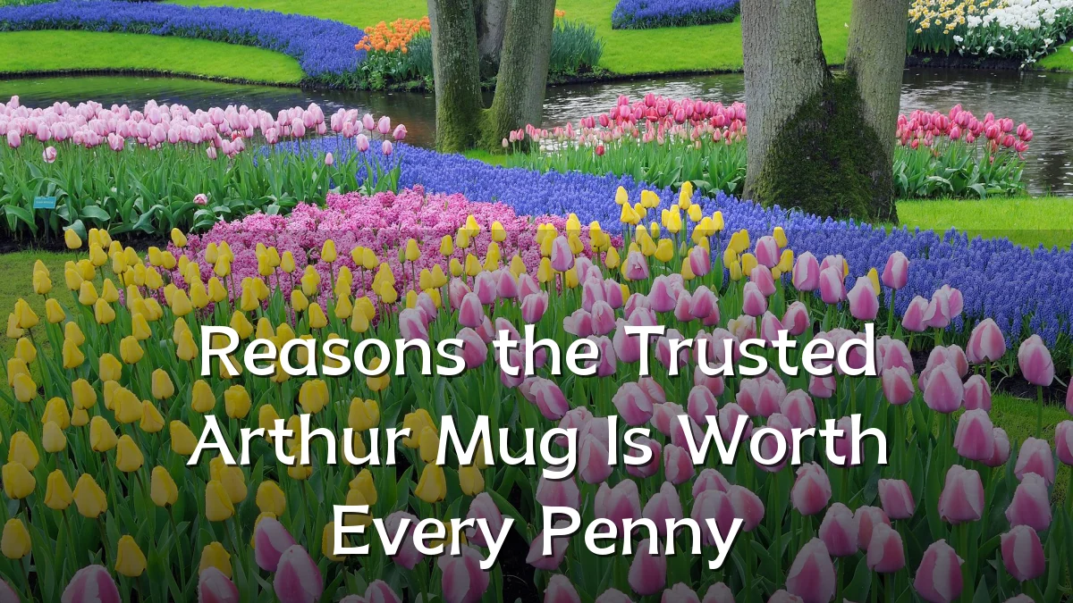 Reasons the Trusted Arthur Mug Is Worth Every Penny