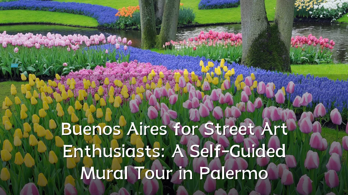 Buenos Aires for Street Art Enthusiasts: A Self-Guided Mural Tour in Palermo