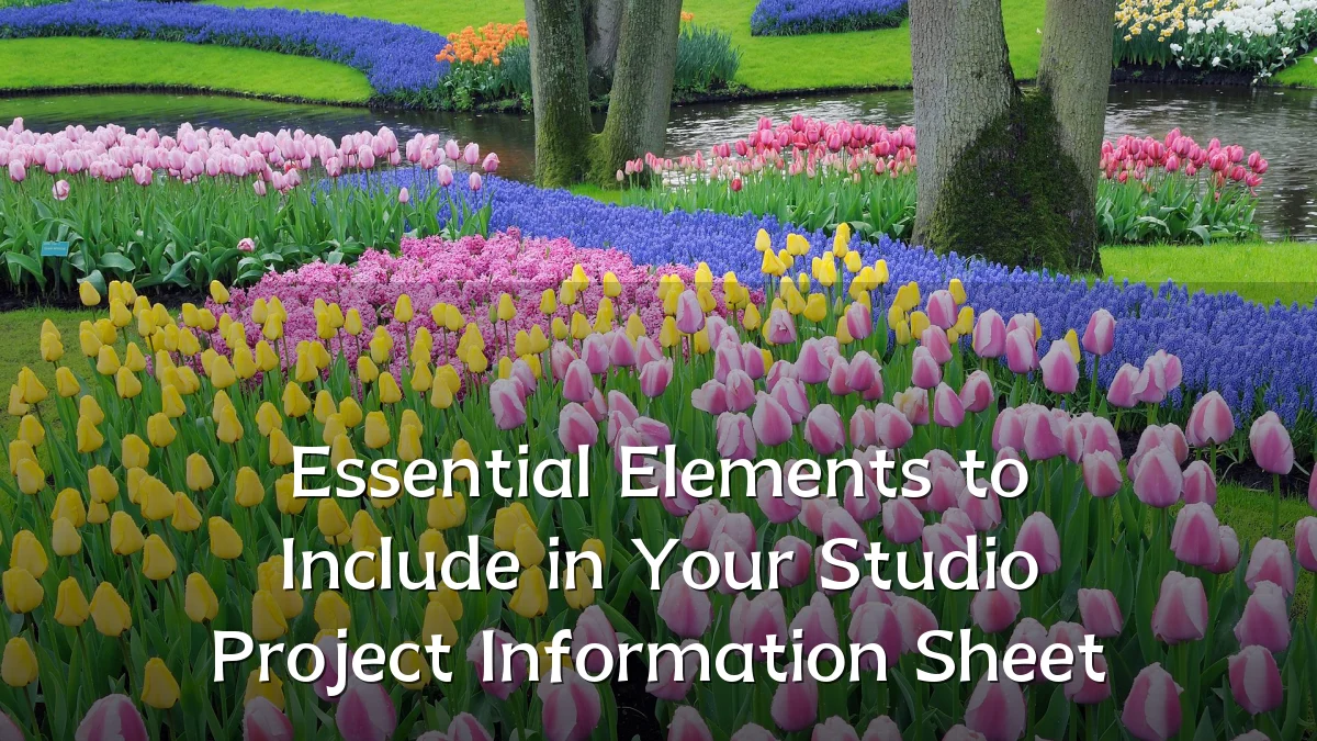 Essential Elements to Include in Your Studio Project Information Sheet