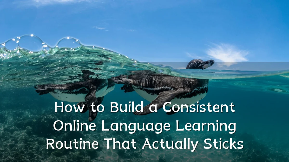 How to Build a Consistent Online Language Learning Routine That Actually Sticks