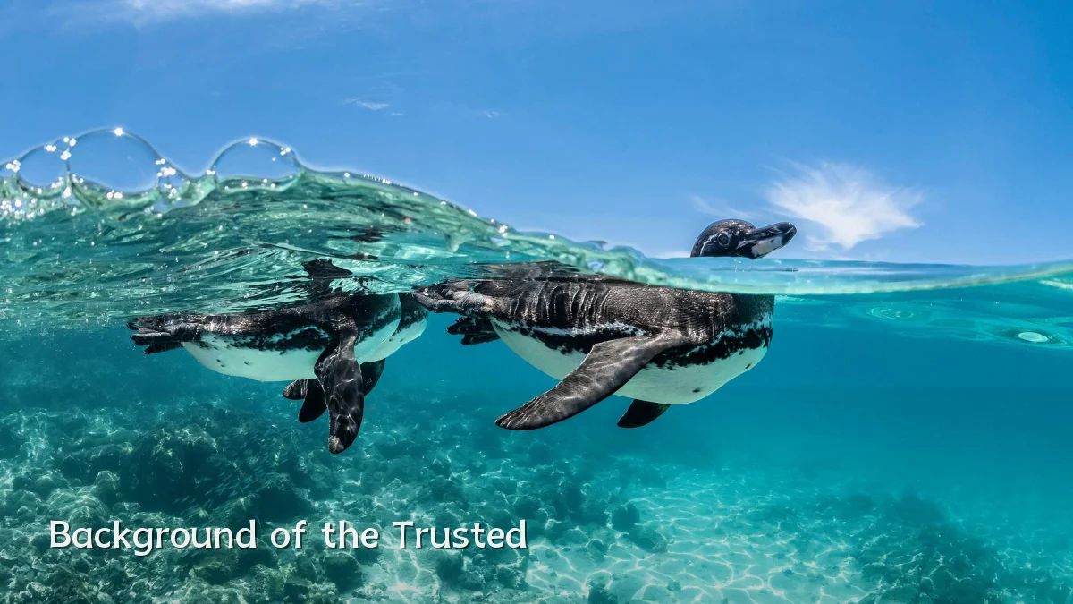 Background of the Trusted