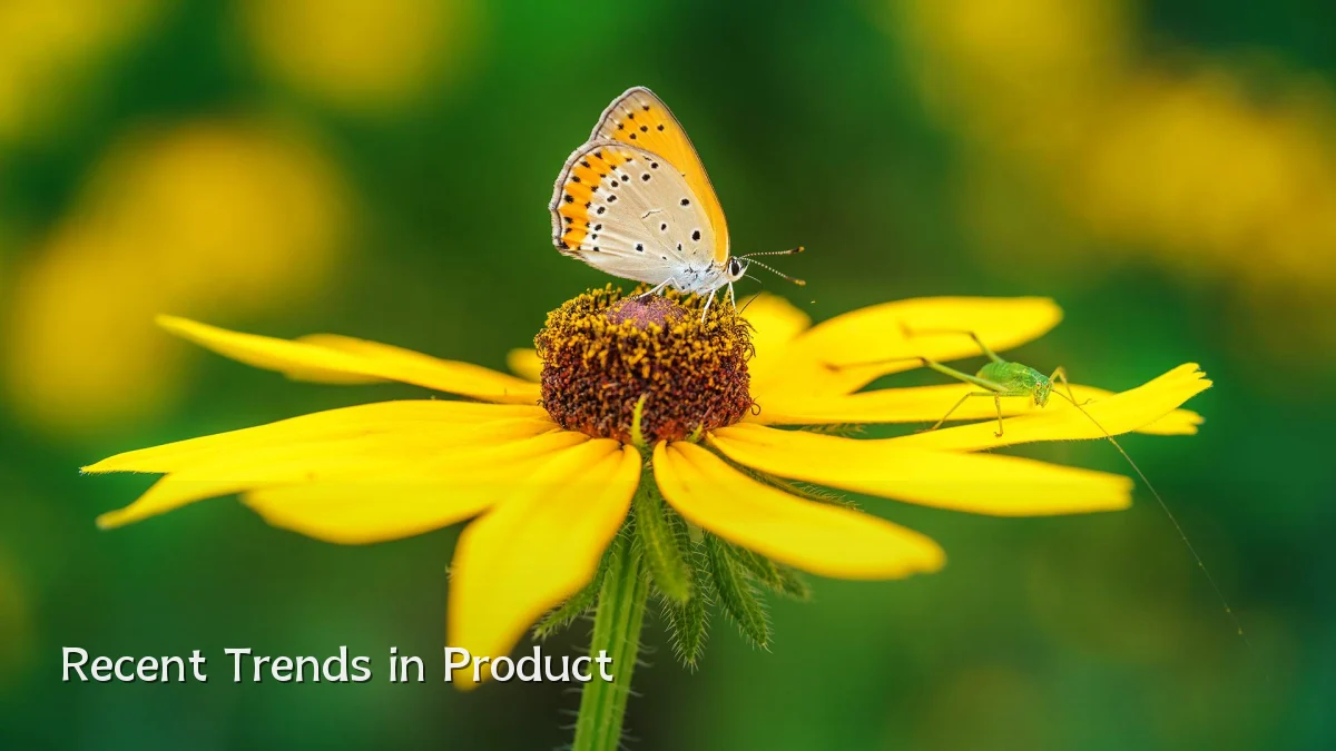Recent Trends in Product