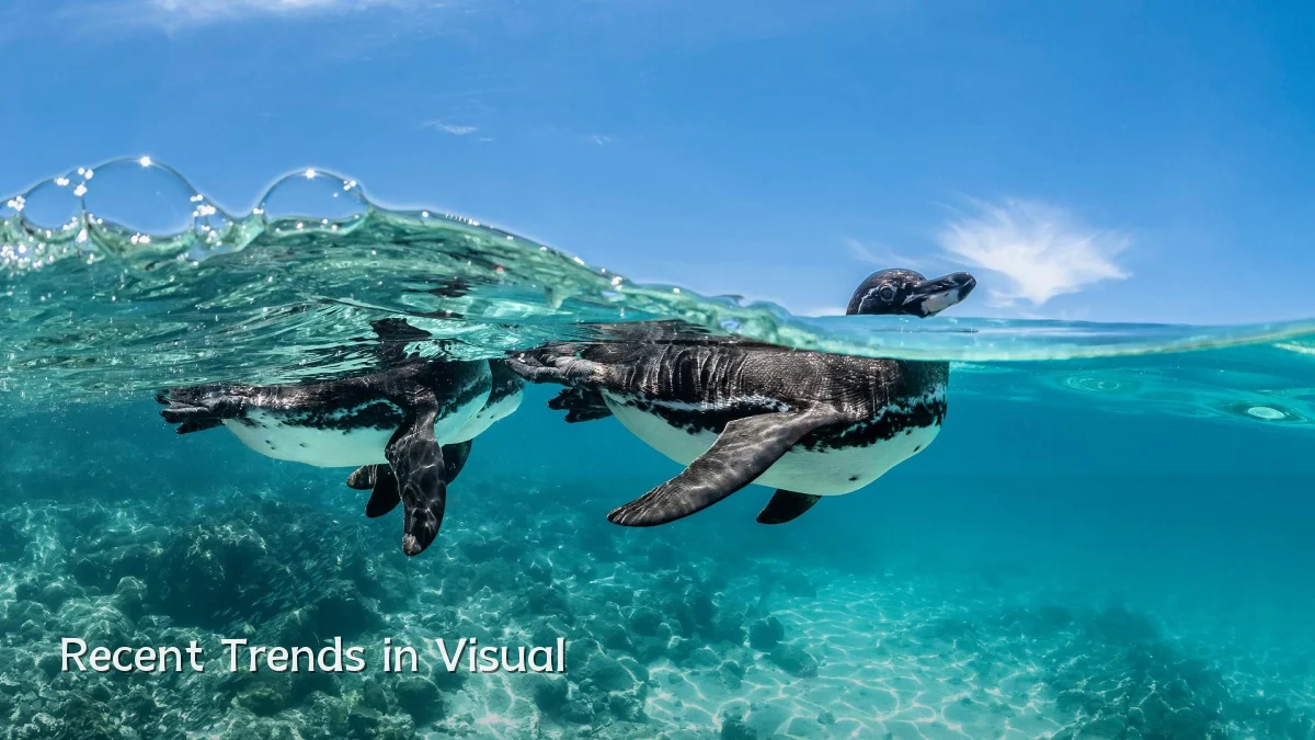 Recent Trends in Visual