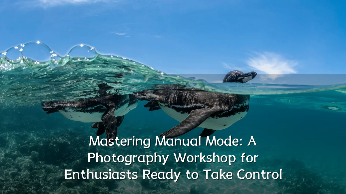 Mastering Manual Mode: A Photography Workshop for Enthusiasts Ready to Take Control