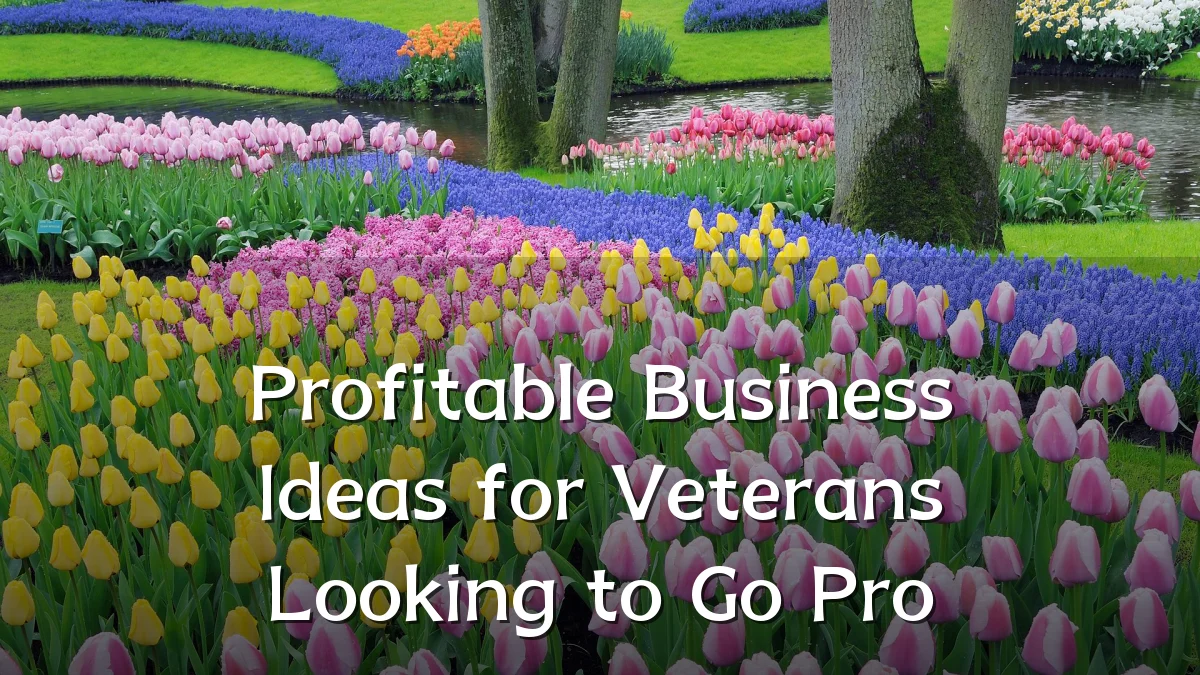 Profitable Business Ideas for Veterans Looking to Go Pro