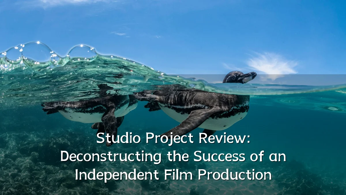 Studio Project Review: Deconstructing the Success of an Independent Film Production