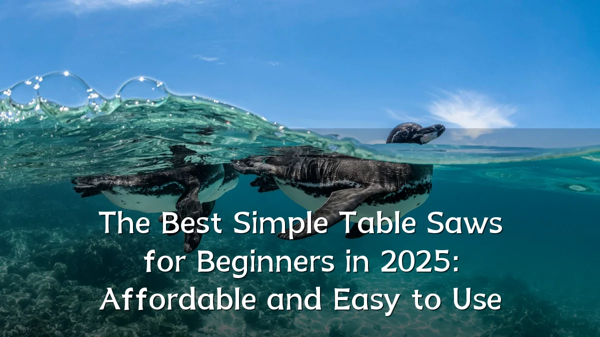 The Best Simple Table Saws for Beginners in 2025: Affordable and Easy to Use