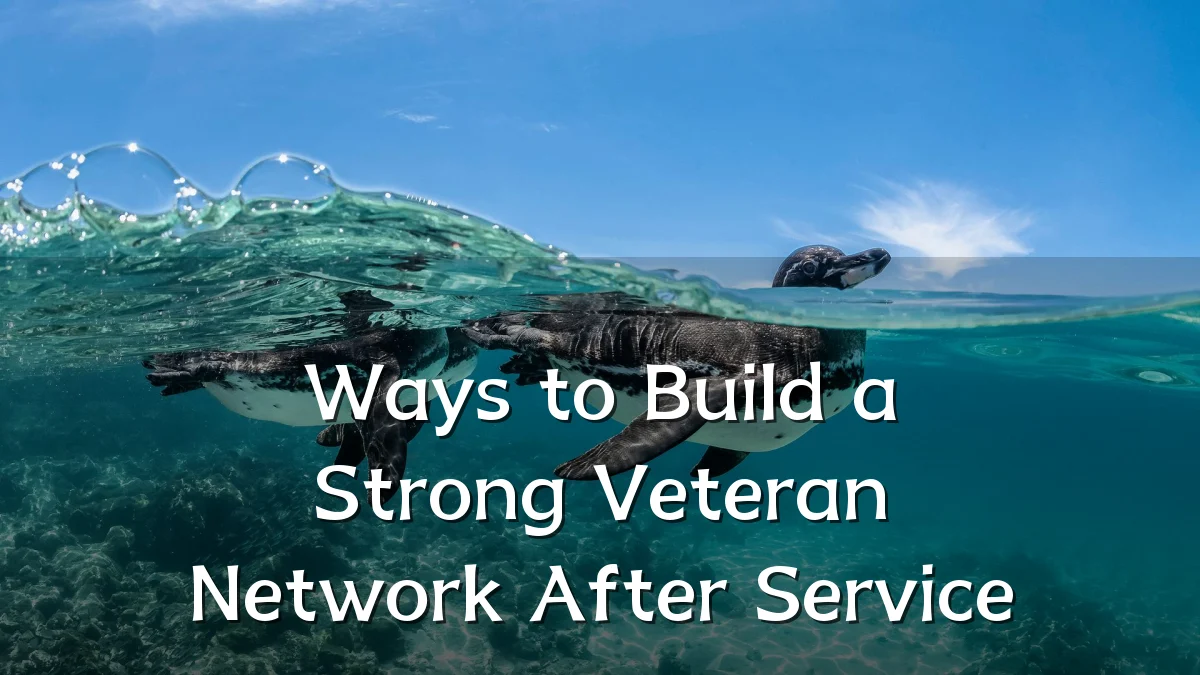 Ways to Build a Strong Veteran Network After Service